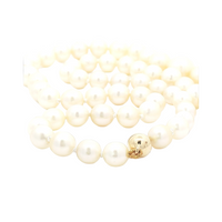 Freshwater Pearl Necklace