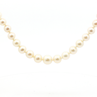 Freshwater Pearl Necklace